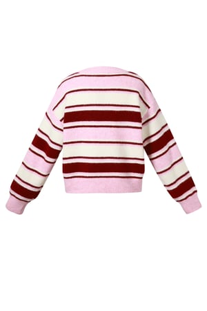 Maglioni in maglia di poliestere (poliestere) Righe Abbigliamento casual autunno/inverno h5 Immagine3