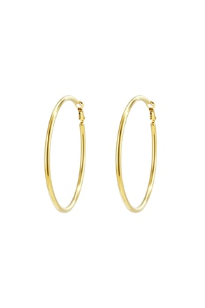 Stainless Steel Hoop Earrings Geometric Casual Daily Simple Series Women's jewelry h5