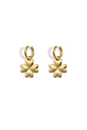 Earrings with clover charm h5 