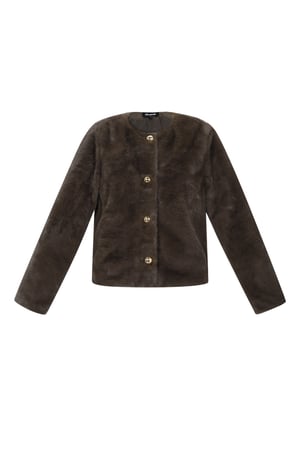 Faux Fur Jacket h5