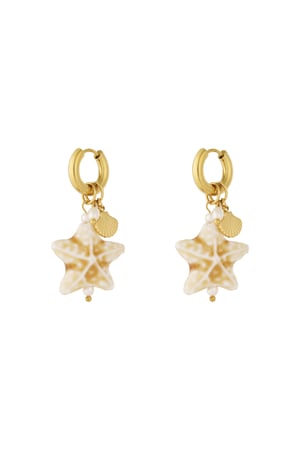 Boucles d&#39;oreilles étoile de sable h5 
