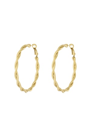 Twisted hoop earrings M h5 