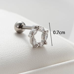 1 Piece Simple Series Simple Heart Titanium Steel No Plating Material Zircon Women Stud Earrings h5 Picture2