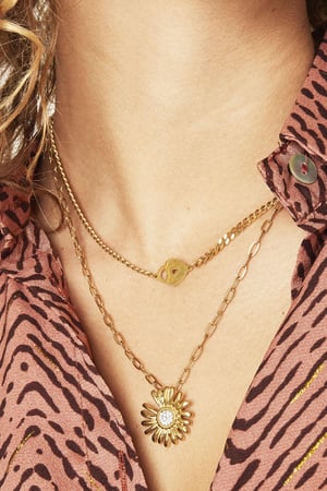 Necklace Locked Heart h5
