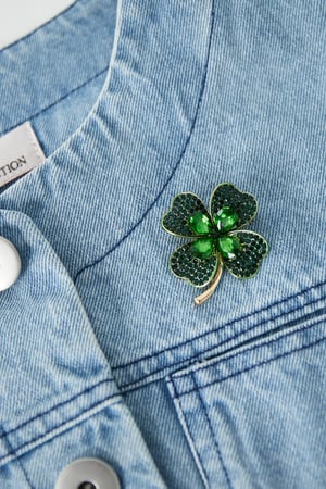 Luck brooch h5 Picture2