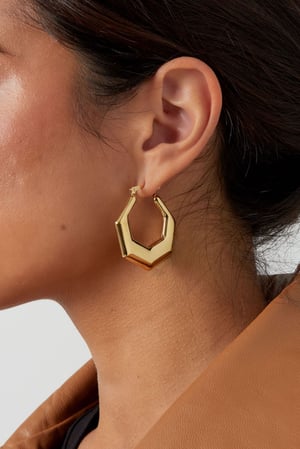 hexagon earrings h5 Picture3
