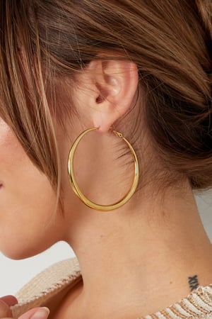 Basic earrings with variety - Silver Color color h5 Picture3