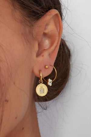 earrings round coin stones h5 Picture2