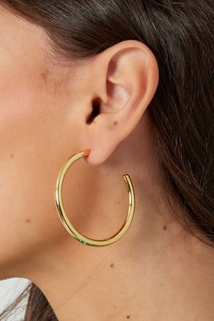 Earrings basic large - Silver Color color h5 Picture3