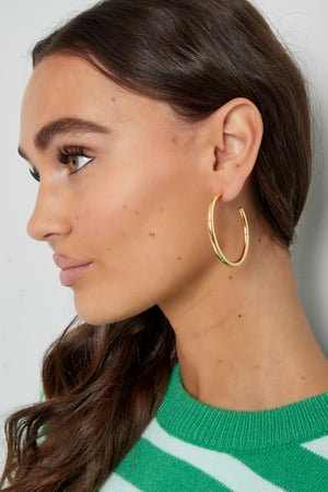 Earrings basic large - Silver Color color h5 Picture4