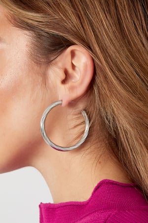 Twisted stripe earrings - Silver Color color h5 Picture3