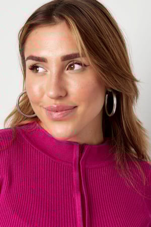 Twisted stripe earrings - Silver Color color h5 Picture4