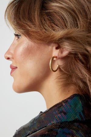 earrings striped print h5 Picture4