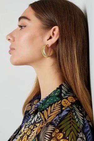 Earrings coarse stripes print - Silver Color color h5 Picture4