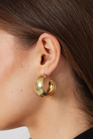 Earrings moon relief - Silver Color color h5 Picture3