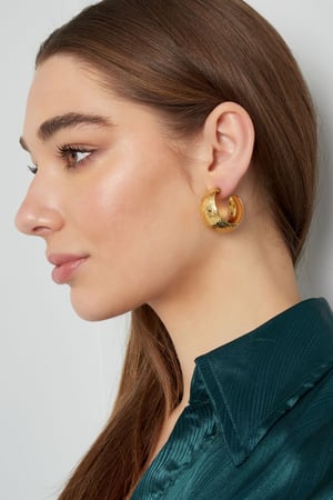 Earrings moon brushed - Silver Color color h5 Picture6