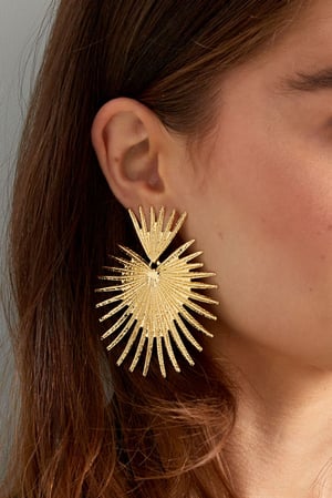 Earrings radiant - Silver Color color h5 Picture3