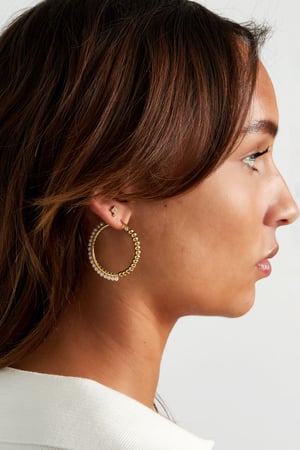 Chic earring with double rhinestones - Silver Color color h5 Picture4