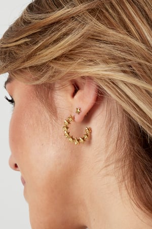 round star earrings h5 Picture3