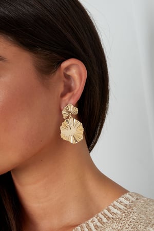 chic circles earrings h5 Picture3