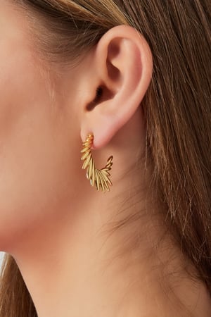 refined hoops h5 Picture3