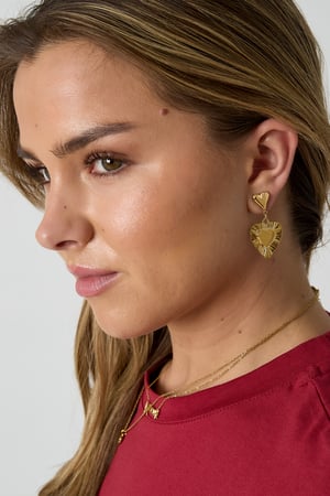 Ohrringe mit herzförmigen Anhängern h5 Bild3