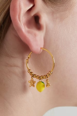 Lemon with cherry Earrings h5 Picture2