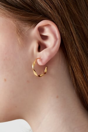 Curve Clip Earrings h5 Picture2