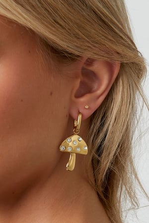 Stainless Steel Drop Earrings plant Casual Daily Simple Series Women's jewelry h5 Picture3