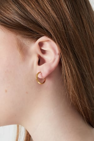 Hoop clip Earrings h5 Picture2