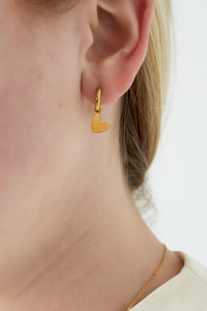 Pure heart Earrings h5 Picture2