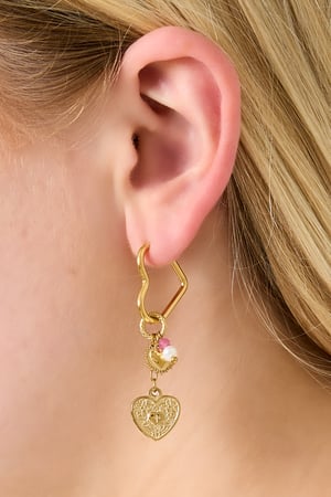 Stainless Steel Drop Earrings Heart Casual Daily Simple Series Women's jewelry h5 Picture2