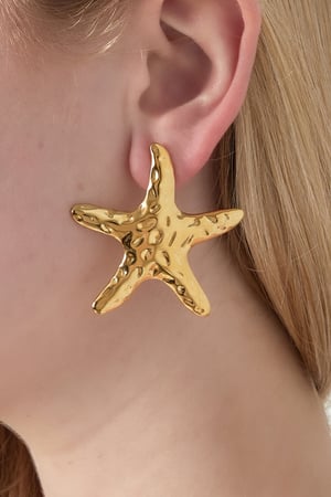 Pendientes grandes de estrella de mar h5 Imagen2