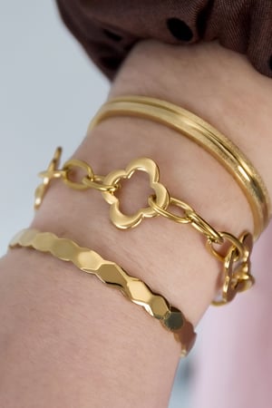 Stainless Steel Chain Bracelets Clover Casual Daily  Women's jewelry h5 Picture2