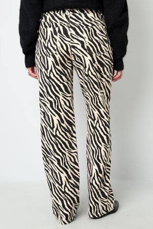 The Zebra Jeans h5 Picture7