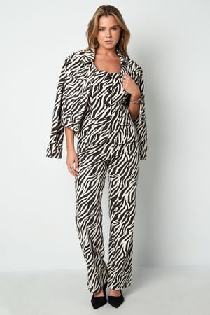 The Zebra Jeans h5 Picture6