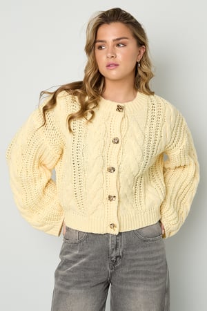 Cable Cardigan h5 Picture7