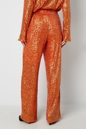 Glitter Straight Pants h5 Picture6