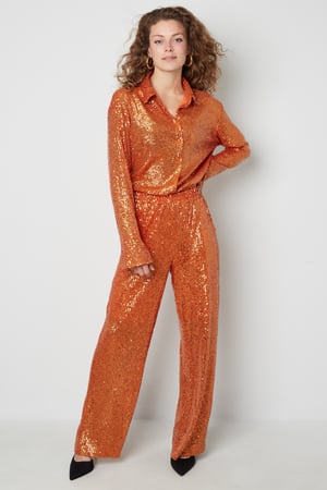 Glitter Straight Pants h5 Picture7