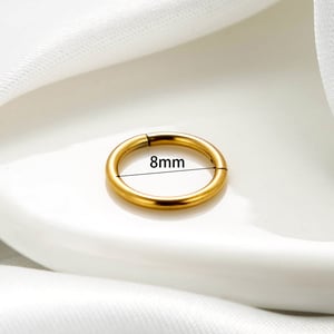 1 Piece Simple Series Classic Geometric Titanium Steel No Plating Material Women Stud Earrings h5 Picture4