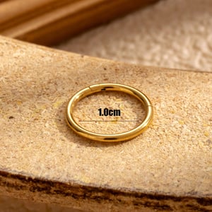 1 Piece Simple Series Simple Geometric Titanium Steel No Plating Material Women Hoop Earrings h5 Picture4
