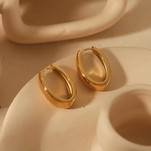 1 pair simple series casual geometric stainless steel  gold plated zircon women hoop earrings h5 Picture4