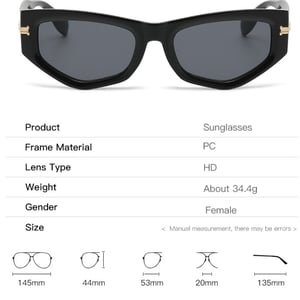 1 Pair Simple Series Daily Leopard Print Plastic Women Sunglasses h5 Picture7