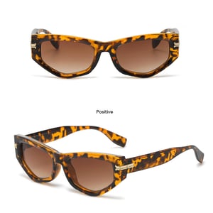 1 Pair Simple Series Daily Leopard Print Plastic Women Sunglasses h5 Picture3