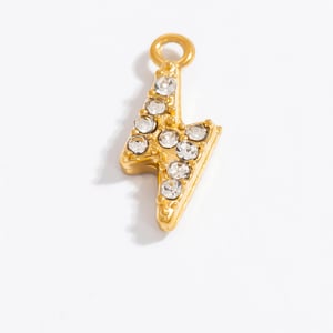 1 Pair Simple Series Daily Turtle Stainless Steel Gold Color DIY Women's Pendants h5 Picture7
