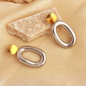 1 Pair Simple Mixed Color Stainless Steel Women's Drop Earrings h5 Picture3
