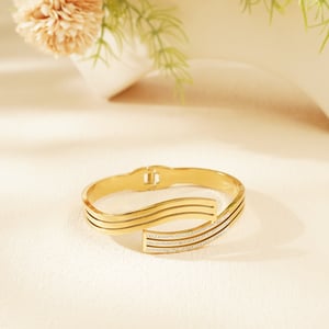 1 Piece Stylish Series Classic Strip Stainless Steel Gold Color Women's Bangles h5 Picture5