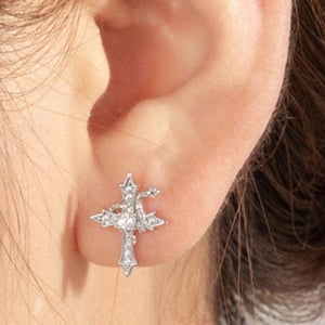 1 Piece Simple Series Casual Animal Titanium Steel No Plating Material Zircon Women's Stud Earrings h5 Picture2