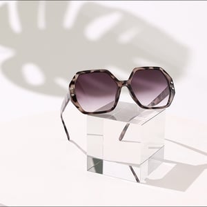 1 Stück Simple Series Daily Leopard Print Kunststoff Damen Sonnenbrille h5 Bild4