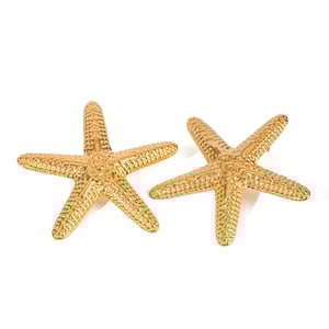 1 pair simple series vacation turtle stainless steel  gold plated women stud earrings h5 Picture5